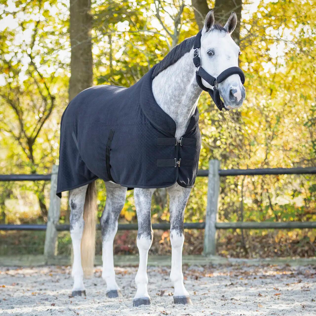 Manta polar show para caballo QHP Zahra 2/5
