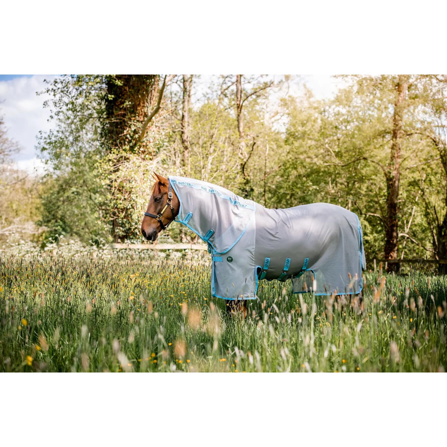 HORSEWARE IRELAND picture