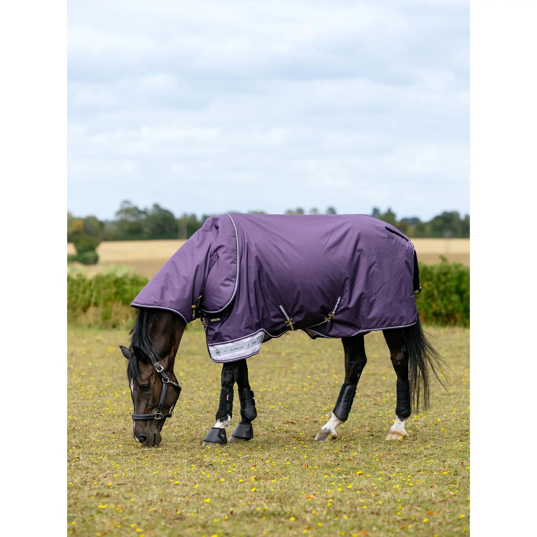 Waterdichte paardendeken LeMieux Arika 100g 3/3