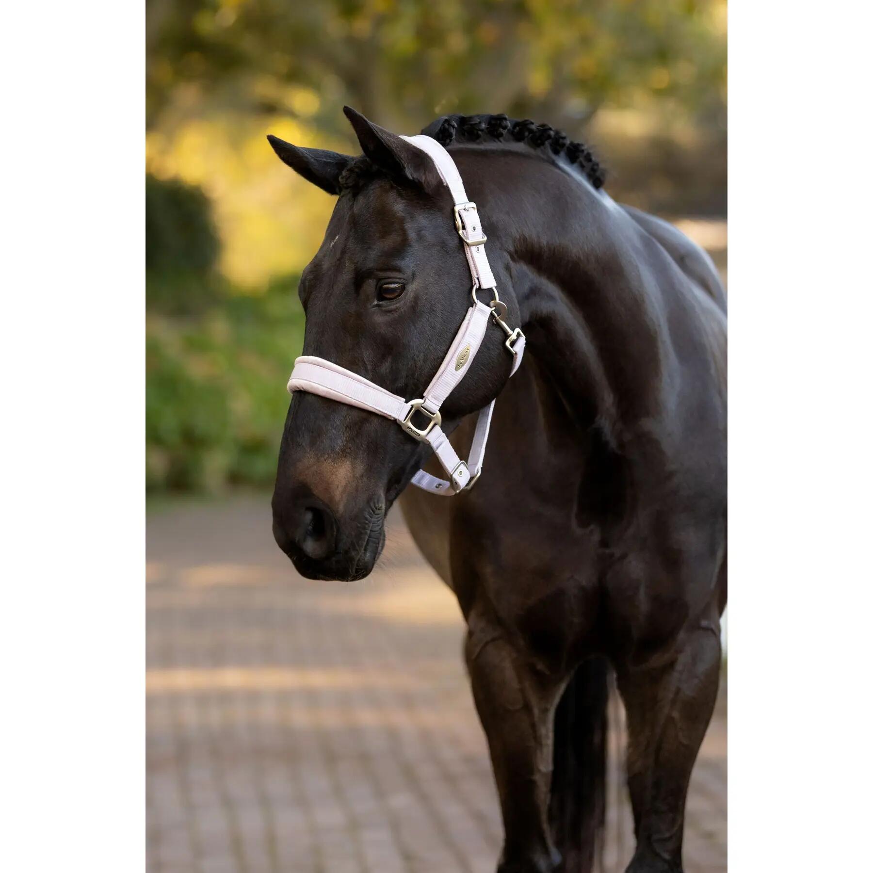 Nylon halster LeMieux Versailles 2/2