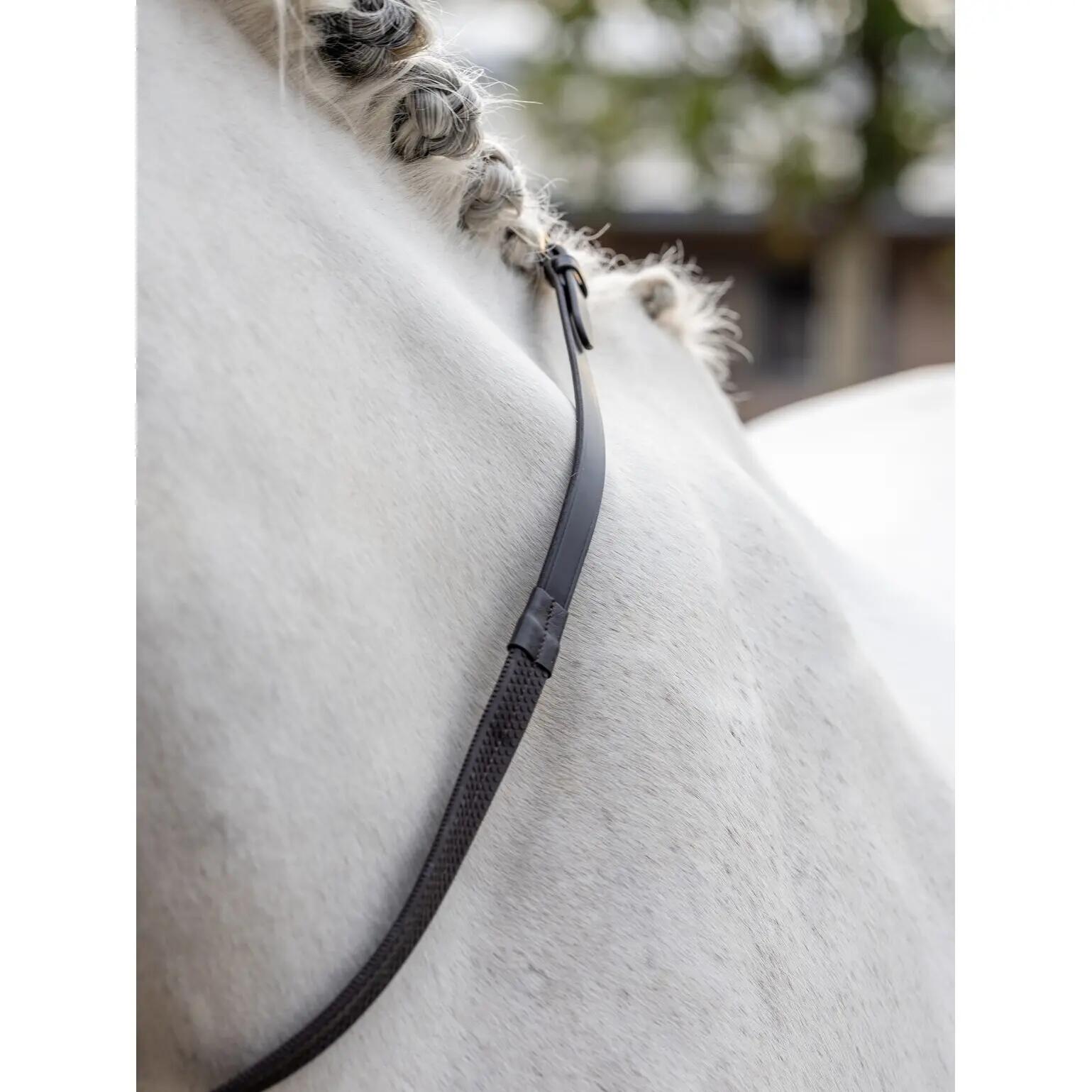 Rênes pour cheval LeMieux 2/3