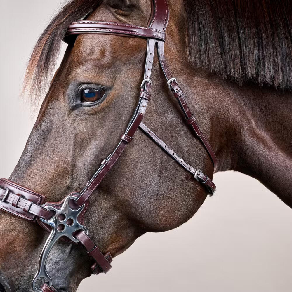 Hackamore voor paard Dy'on New English Collection 3/4