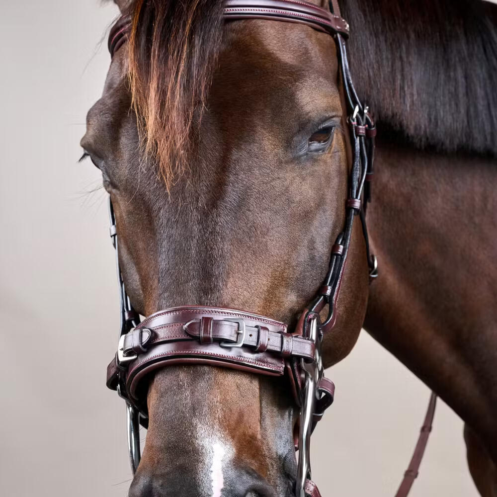 Hackamore voor paard Dy'on New English Collection 2/4