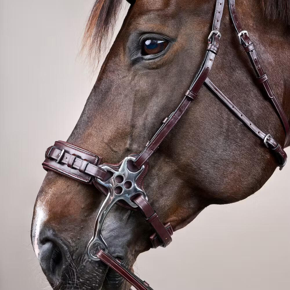 Hackamore voor paard Dy'on New English Collection 4/4