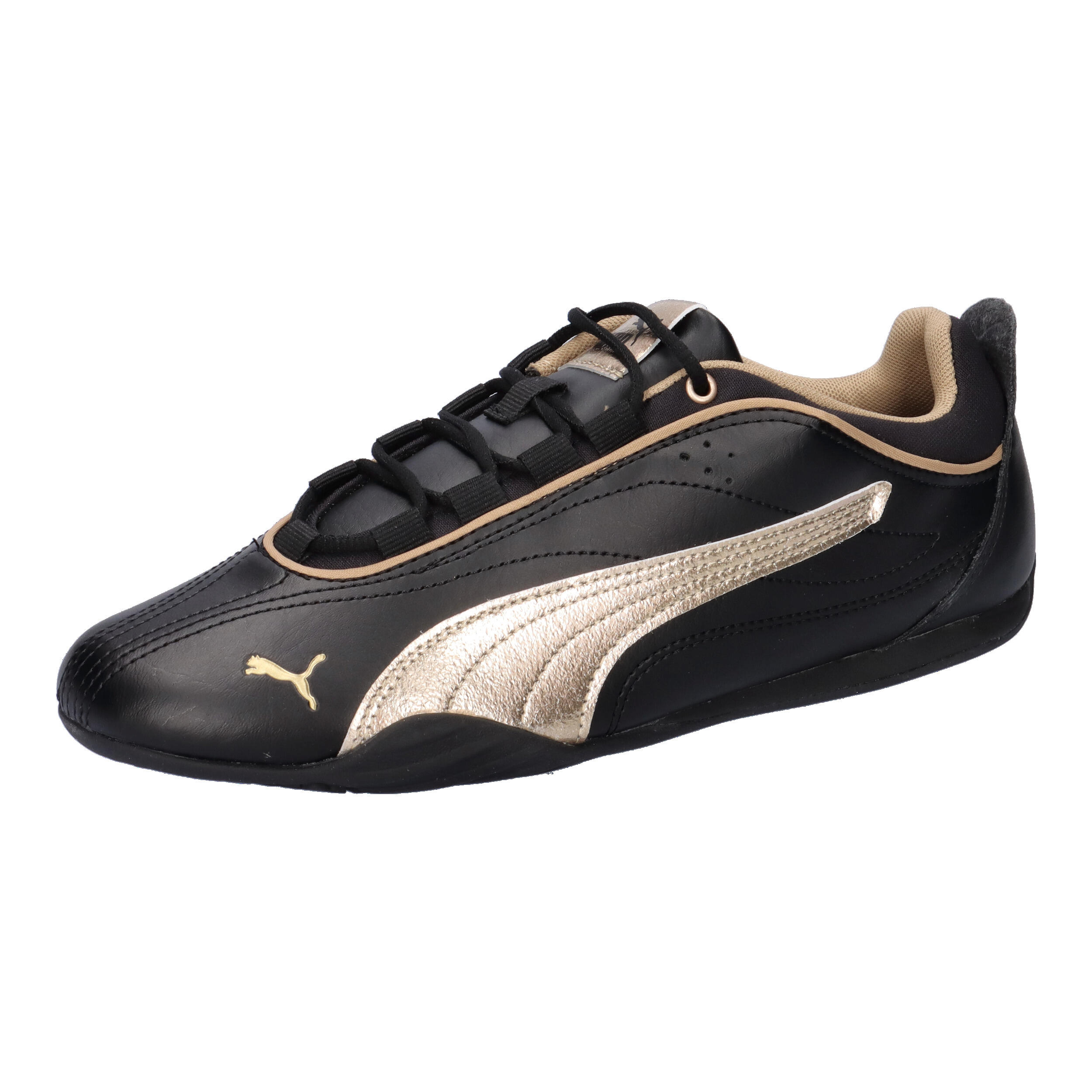 PUMA picture