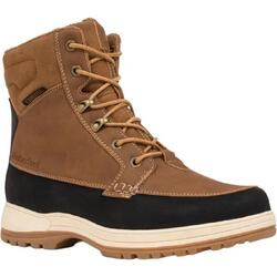 KIMBERFEEL NOLAN NOISE