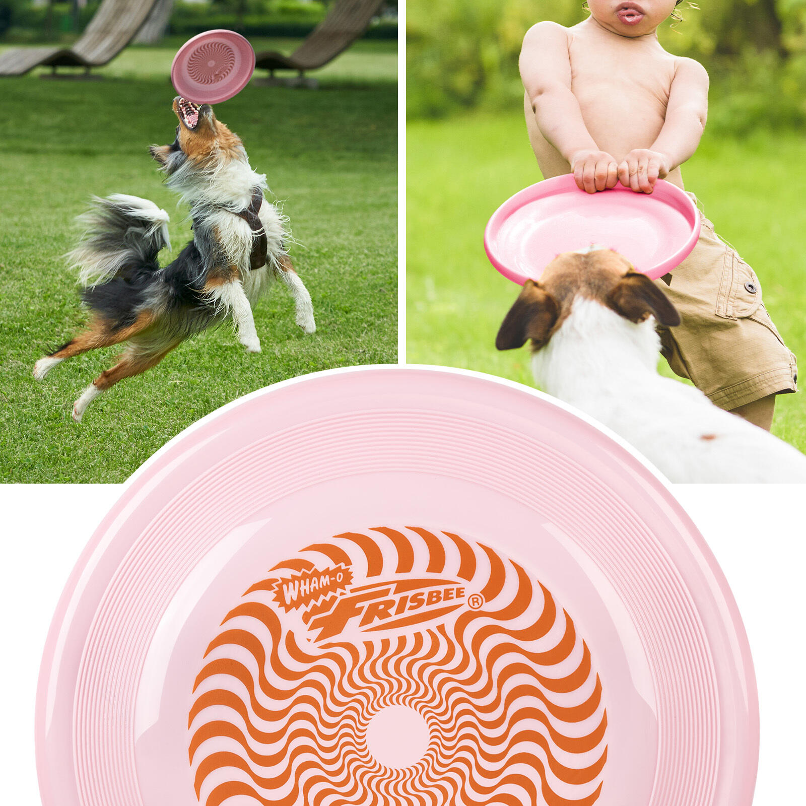 Disco Volante Leggero Frisbee Fastback, 23,75 cm - 100 g 6/7