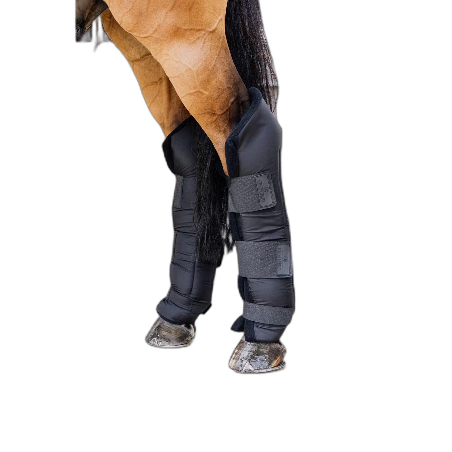 KENTUCKY HORSEWEAR picture