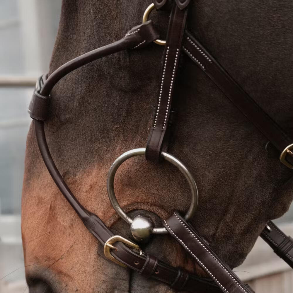 Museruola ibrida per cavallo Dy'on Coll 3/3