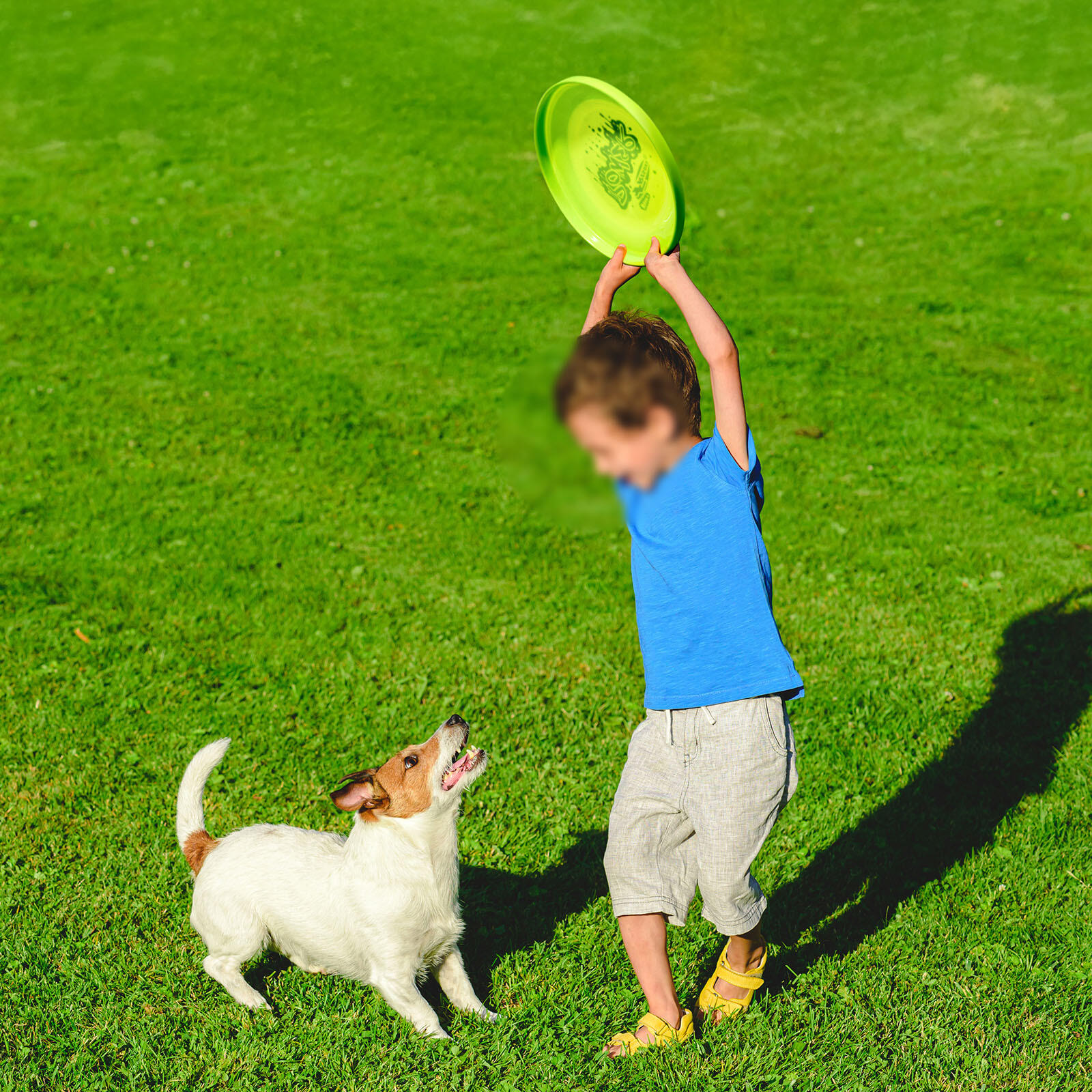 Disco Volante Leggero Frisbee Fastback, 23,75 cm - 100 g 5/7