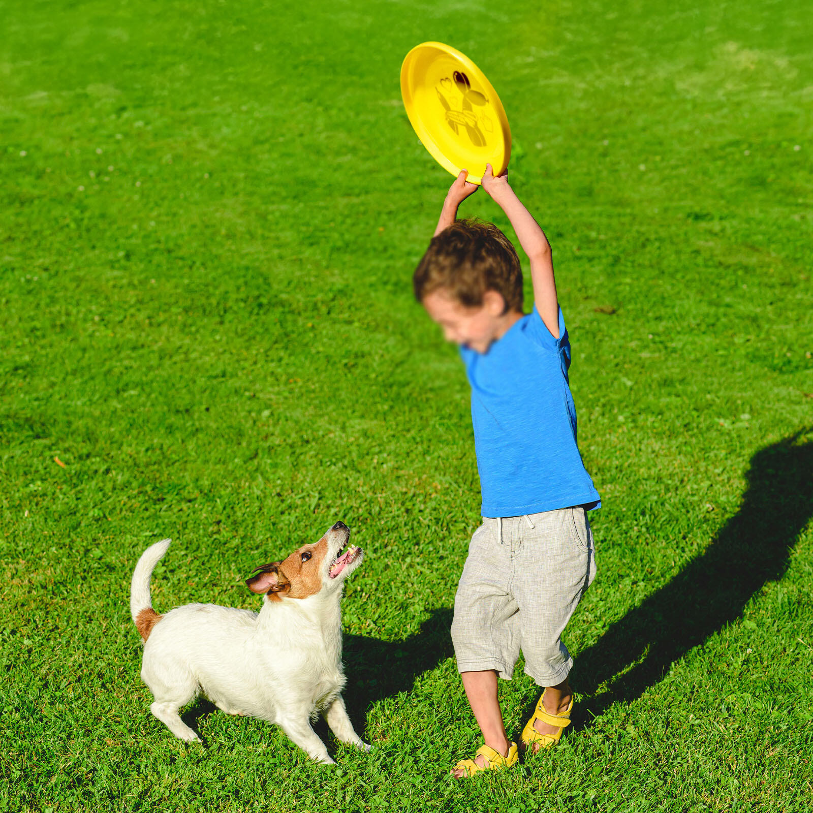 Disco Voador Leve Frisbee Fastback, 23,75 cm - 100 g 5/7