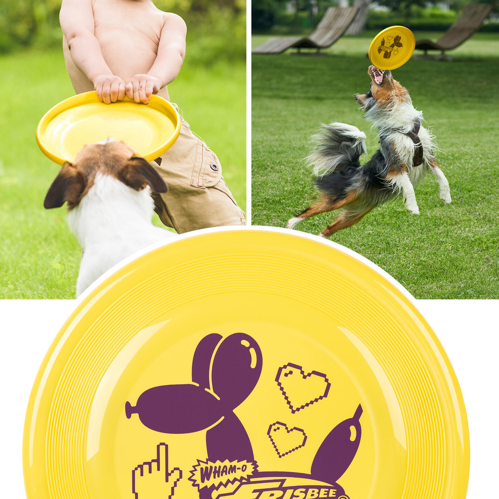 Disco Voador Leve Frisbee Fastback, 23,75 cm - 100 g 6/7