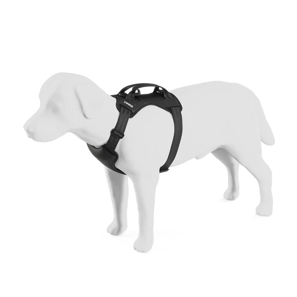 Dog harness I-DOG Thule Cappy