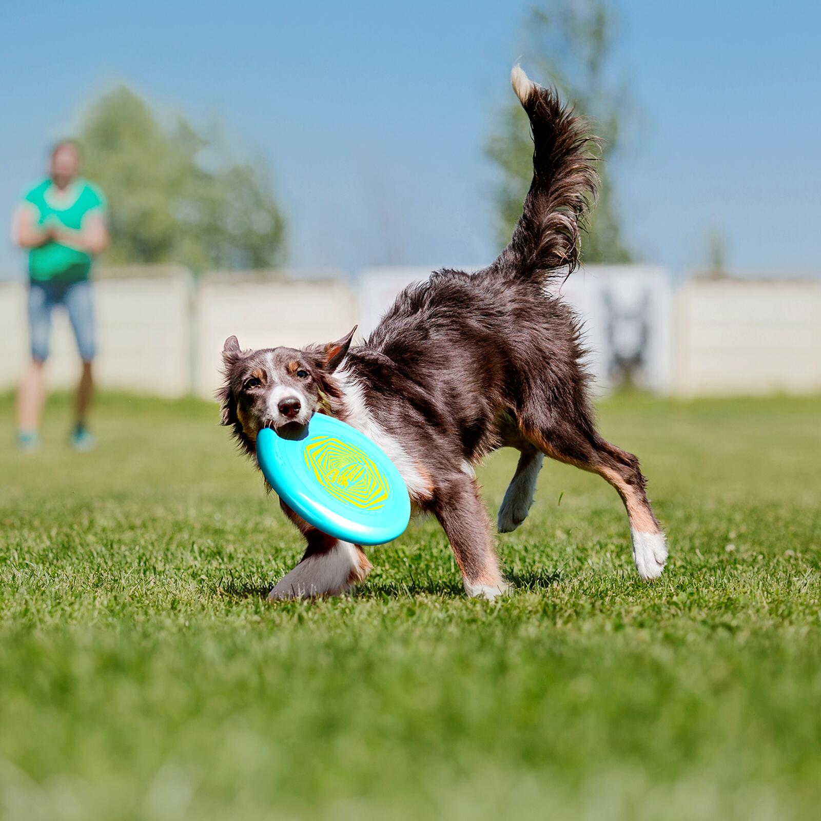 Disco Volante Leggero Frisbee Go, 22,86 cm - 70 g 5/7
