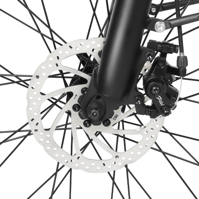 RS-A01 Pro-T bicicletă electrică pentru adulți, baterie 36V 15Ah, roți 26".