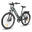 RS-A01 Pro-T bicicletă electrică pentru adulți, baterie 36V 15Ah, roți 26".