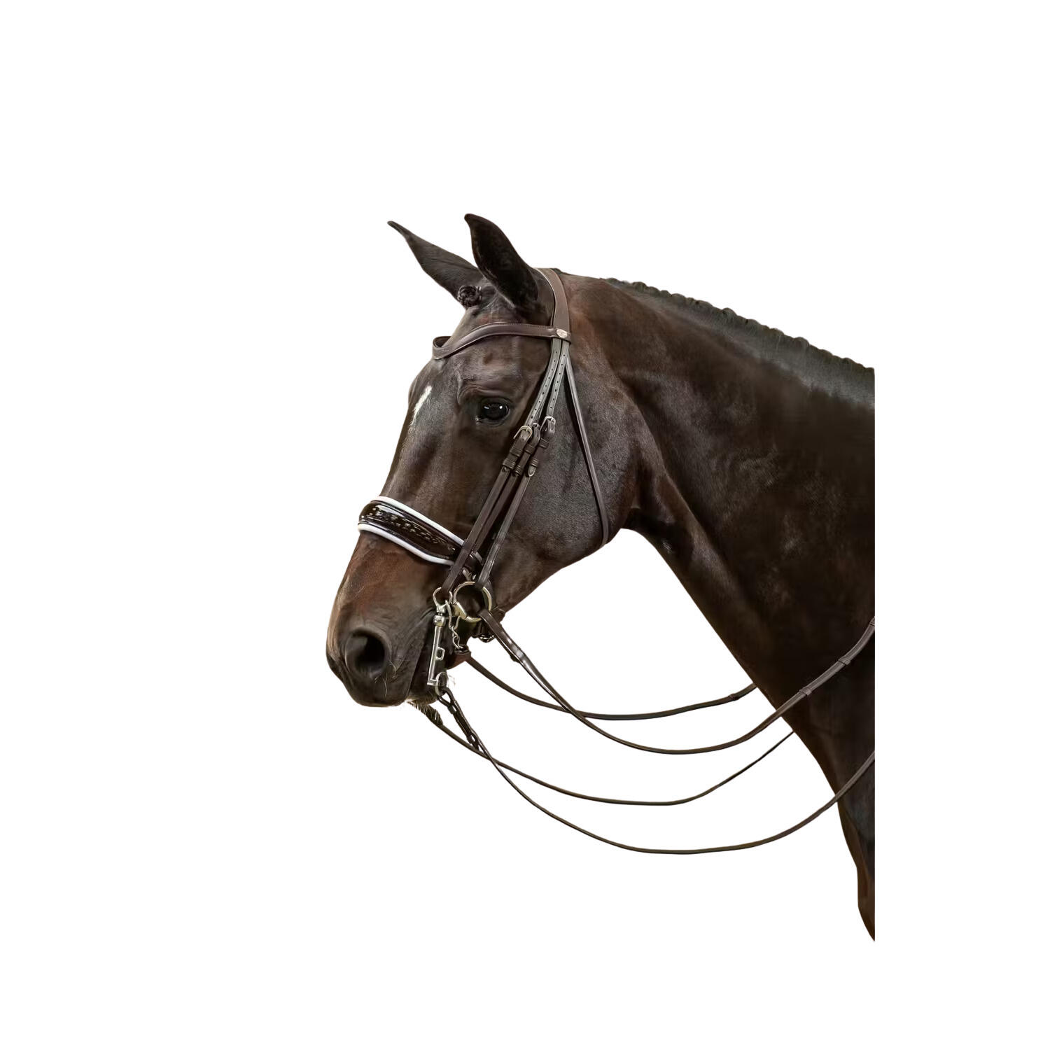 Bridons équitation pour cheval avec doublure Dy'on Large Vernie 2/3