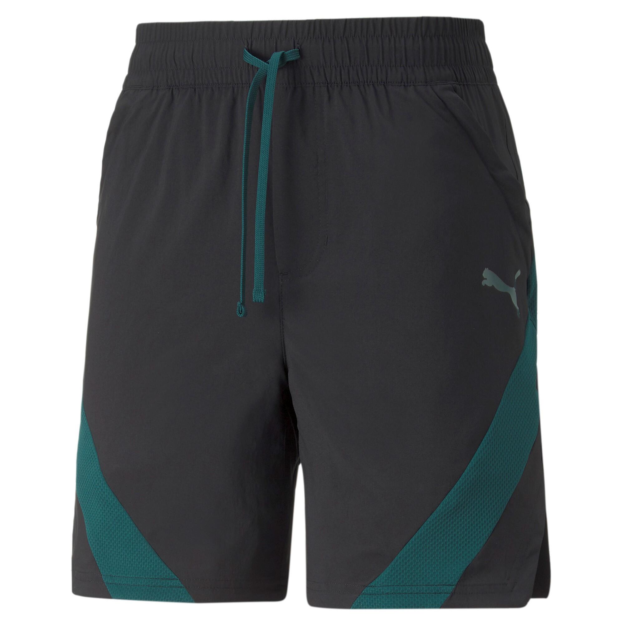 PUMA picture