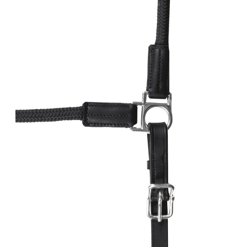 Licol pour cheval Waldhausen Nevada 3/3