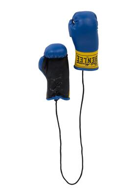 Benlee miniatuur bokshandschoenen mini gloves