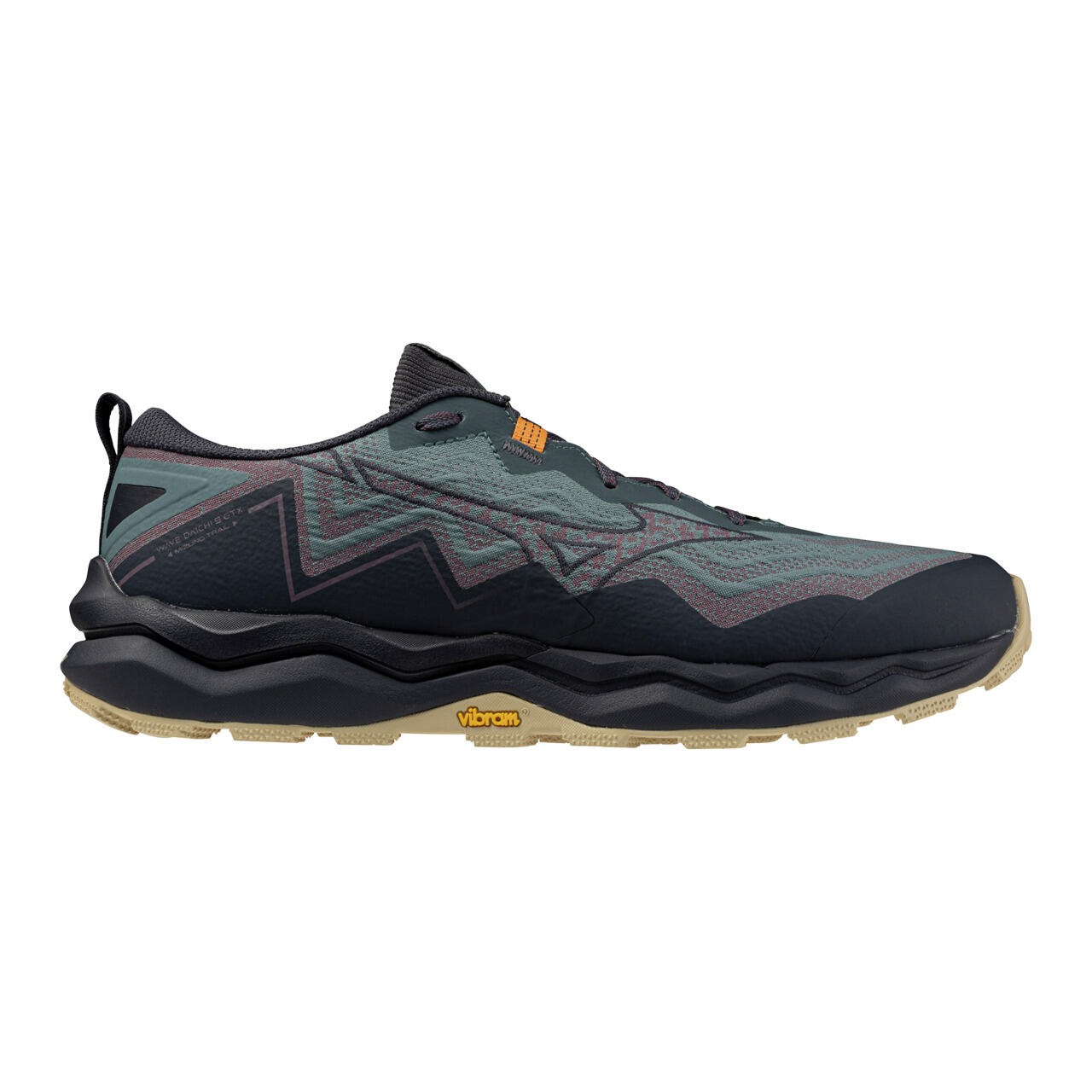 Chaussures de running Mizuno Wave Daichi 9 Gtx 2/6