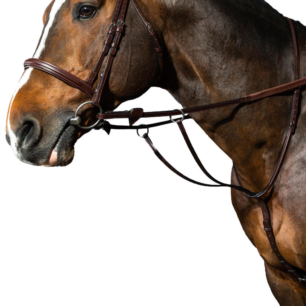 Martingale with rings Dy'on New English Collection