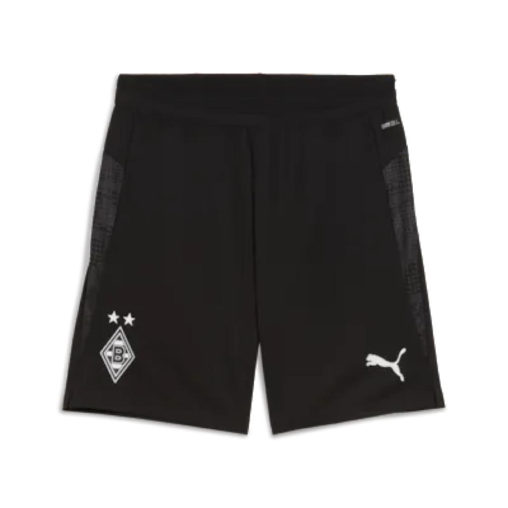 PUMA picture