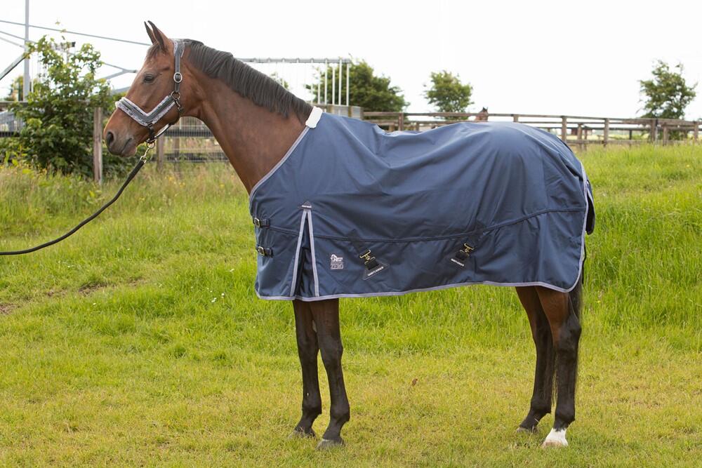 HARRYS HORSE picture