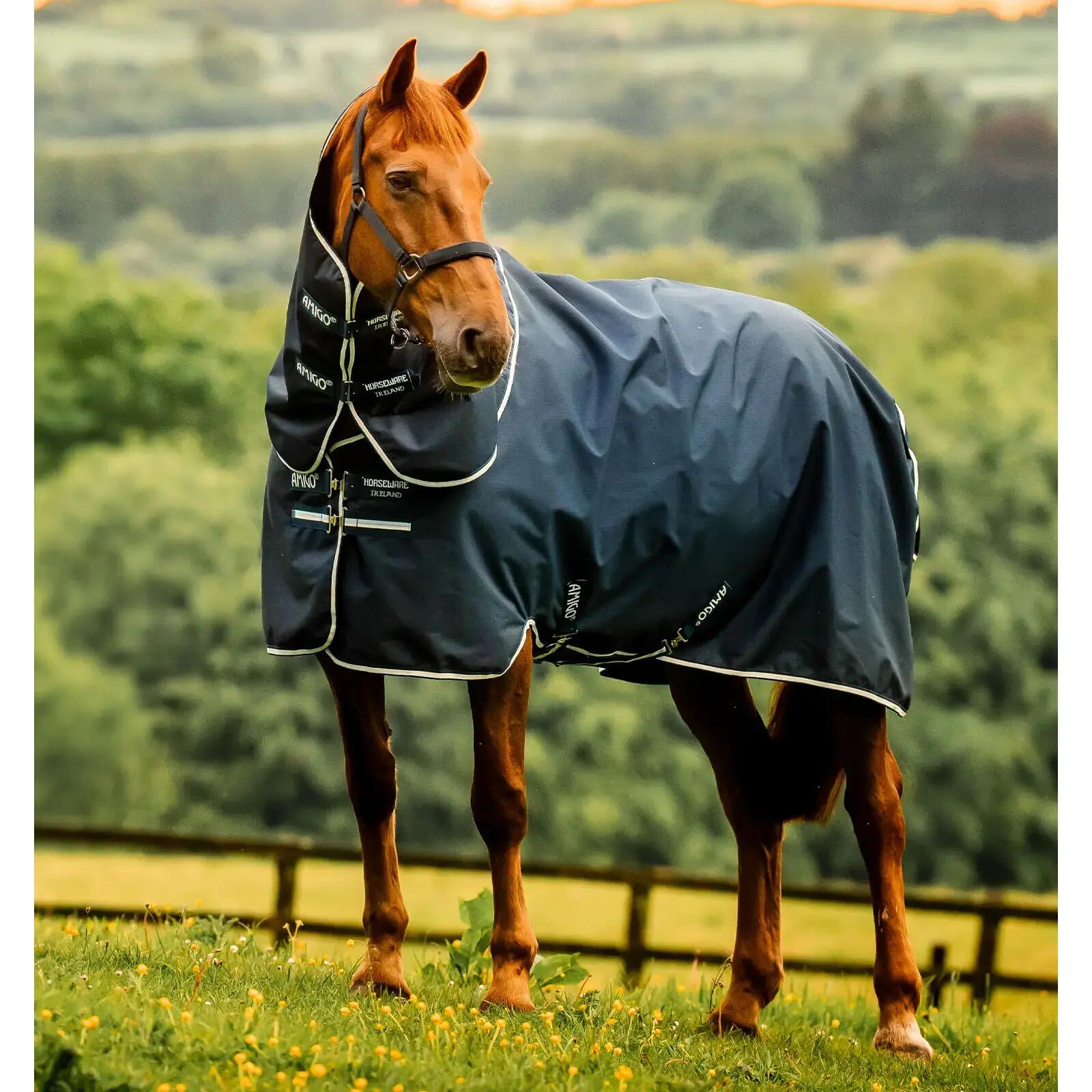 HORSEWARE IRELAND picture