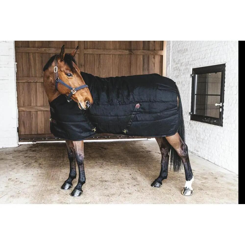Coperta da stalla per cavalli Kentucky Classic 200g 2/5