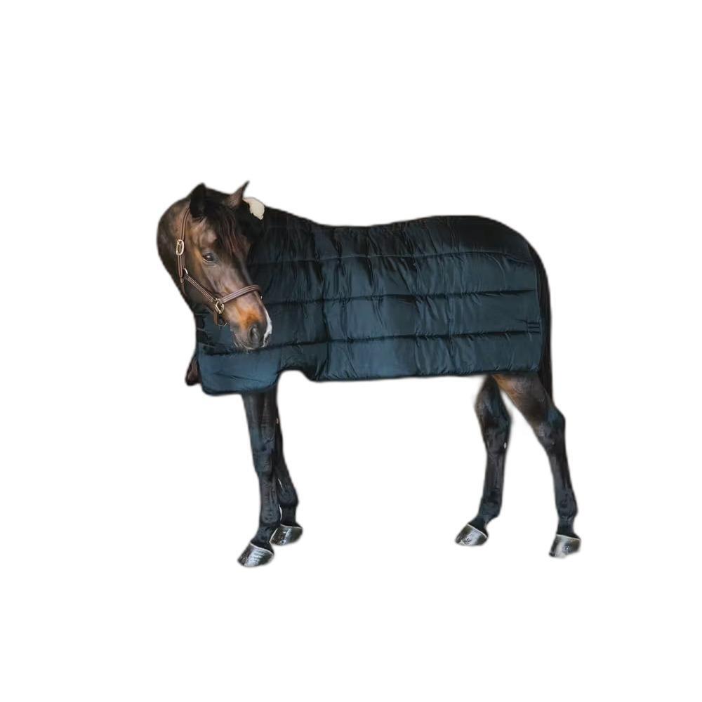 Outdoor  Blanket Kentucky Pro 100g