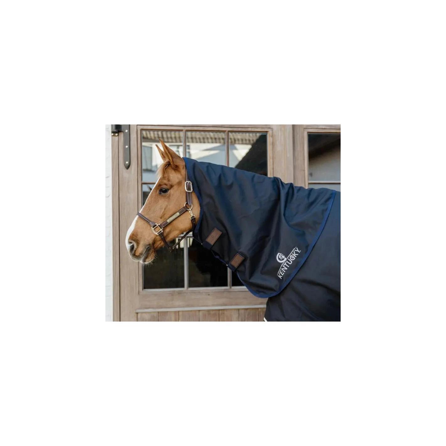 Tappeto impermeabile per cavalli Kentucky Comfort 100g 2/3
