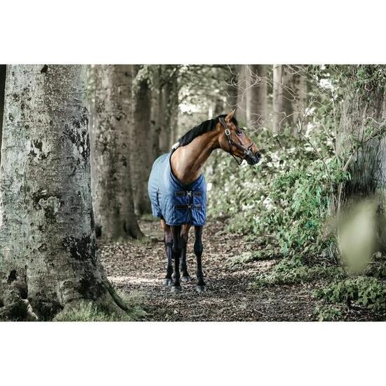 Couverture d'écurie Kentucky 0 g