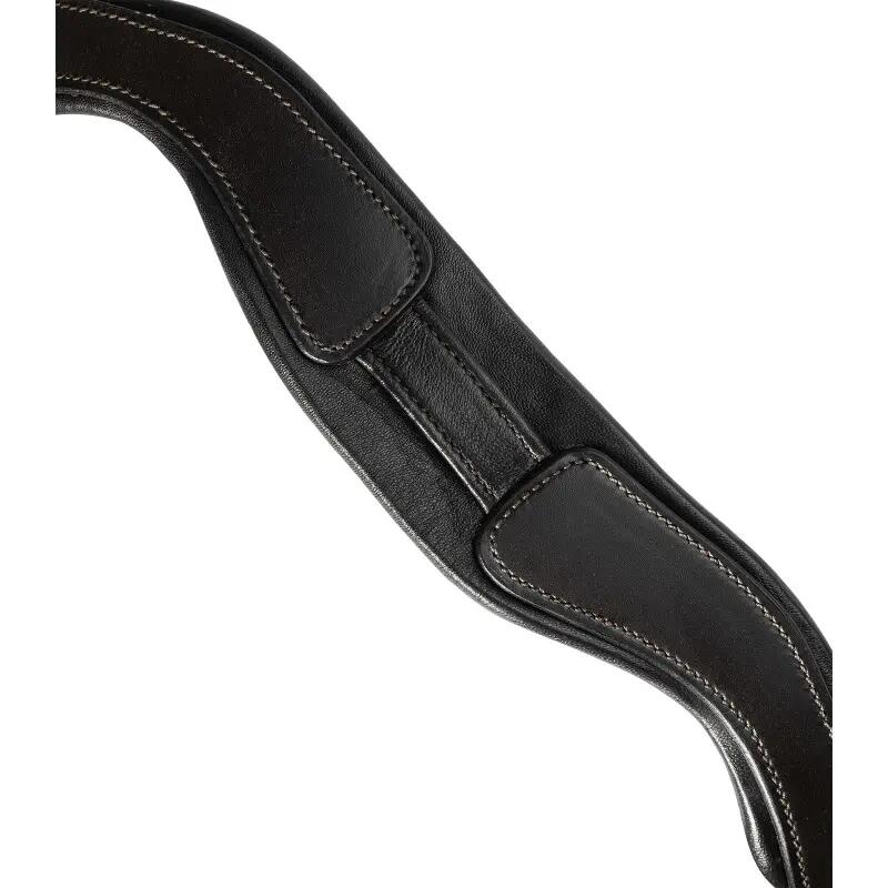 Briglia combinata da equitazione con nasello Waldhausen X-Line Goldheart 3/3
