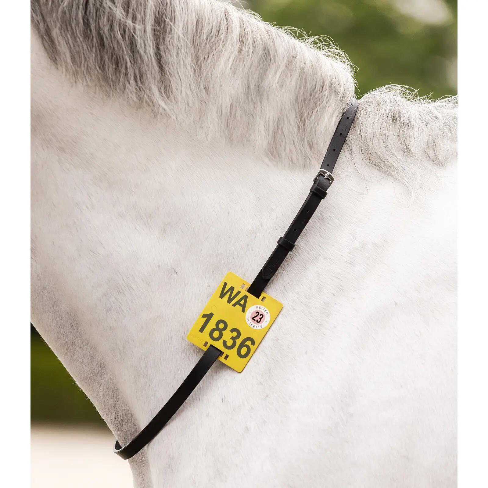 Collier pour cheval support de plaque Star 2/2
