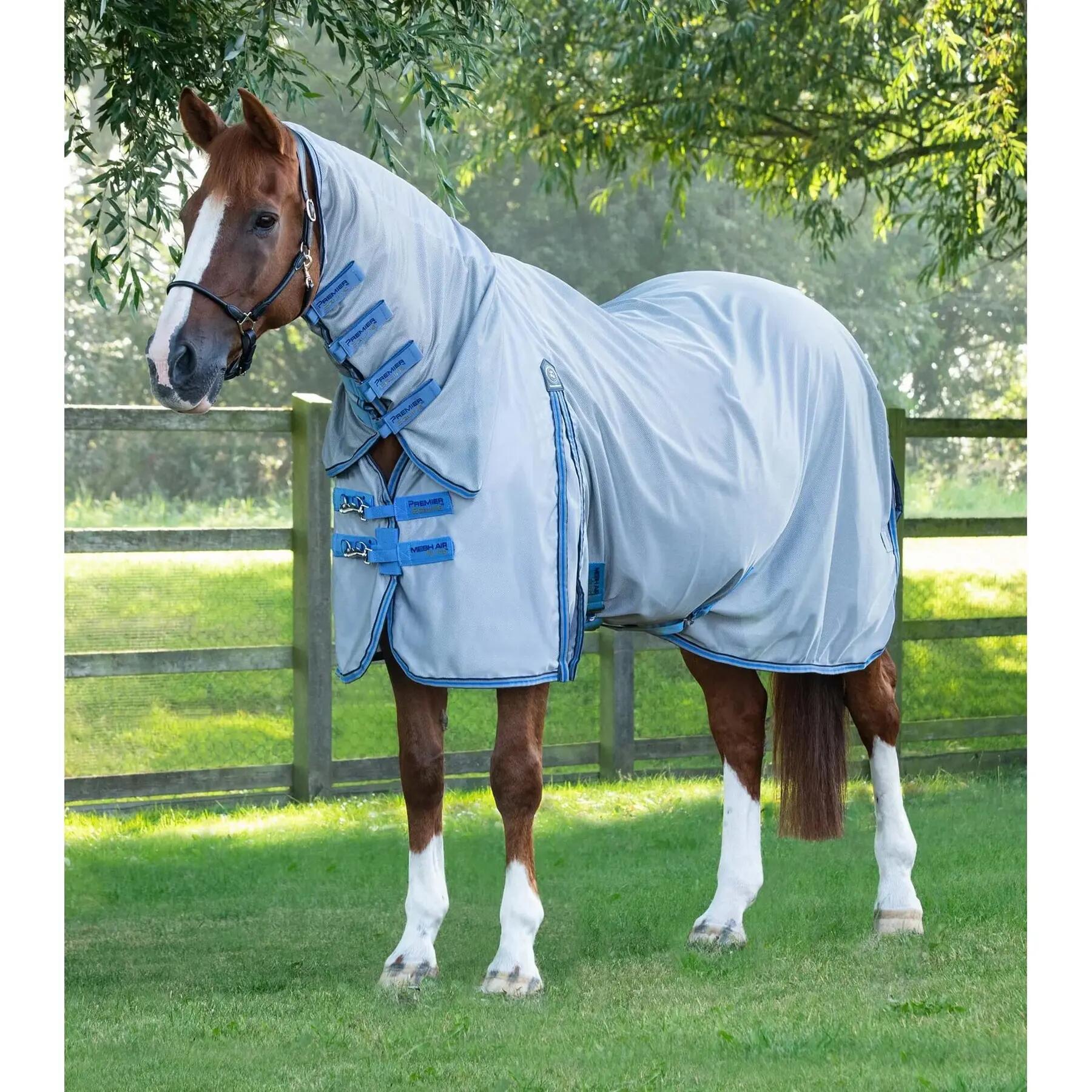 PREMIER EQUINE picture