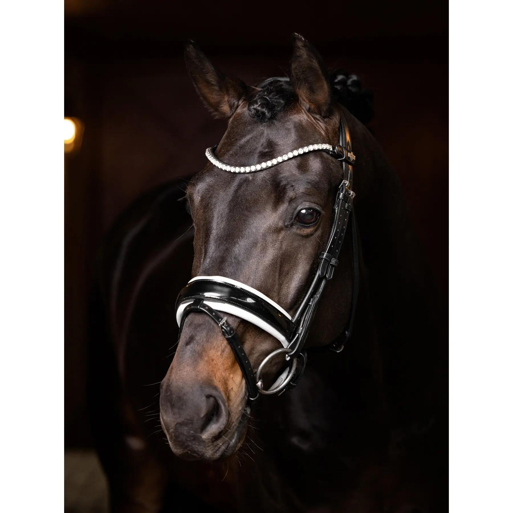 Frontal pour cheval LeMieux Ice Crystal 2/6