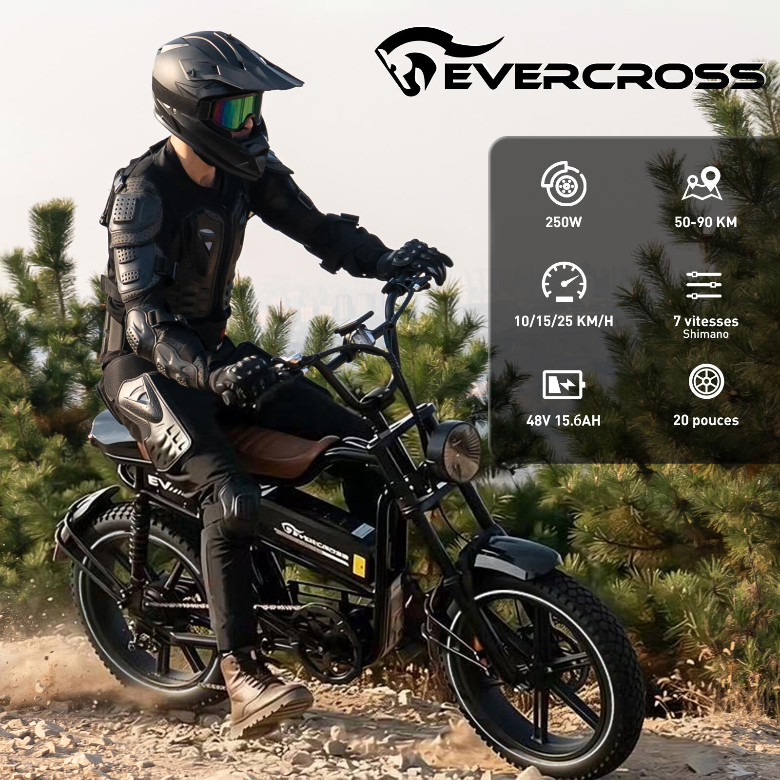 Elektrische Mountainbike-20”x4.0 inch-Dubbele Vering-48V15.6Ah Accu-NFC-APP-EK30 6/7