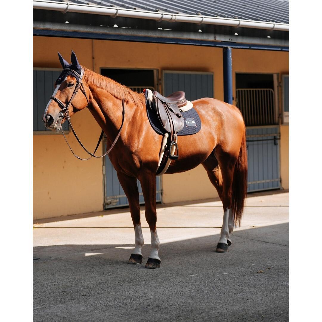Mantilla para caballos GEM Touc Touc Obstacle 4/5