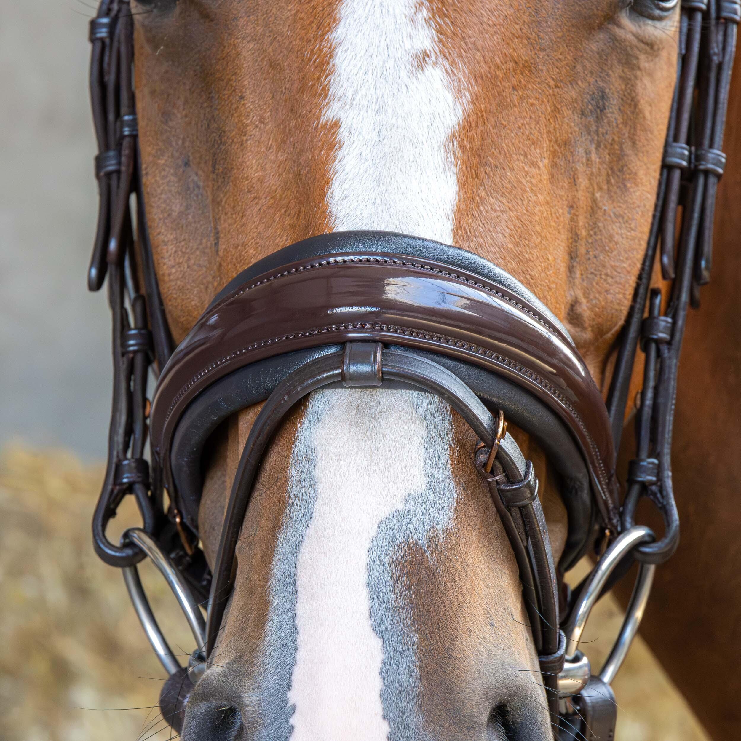 Briglia combinata da equitazione con nasello Harry's Horse Copper 3/4
