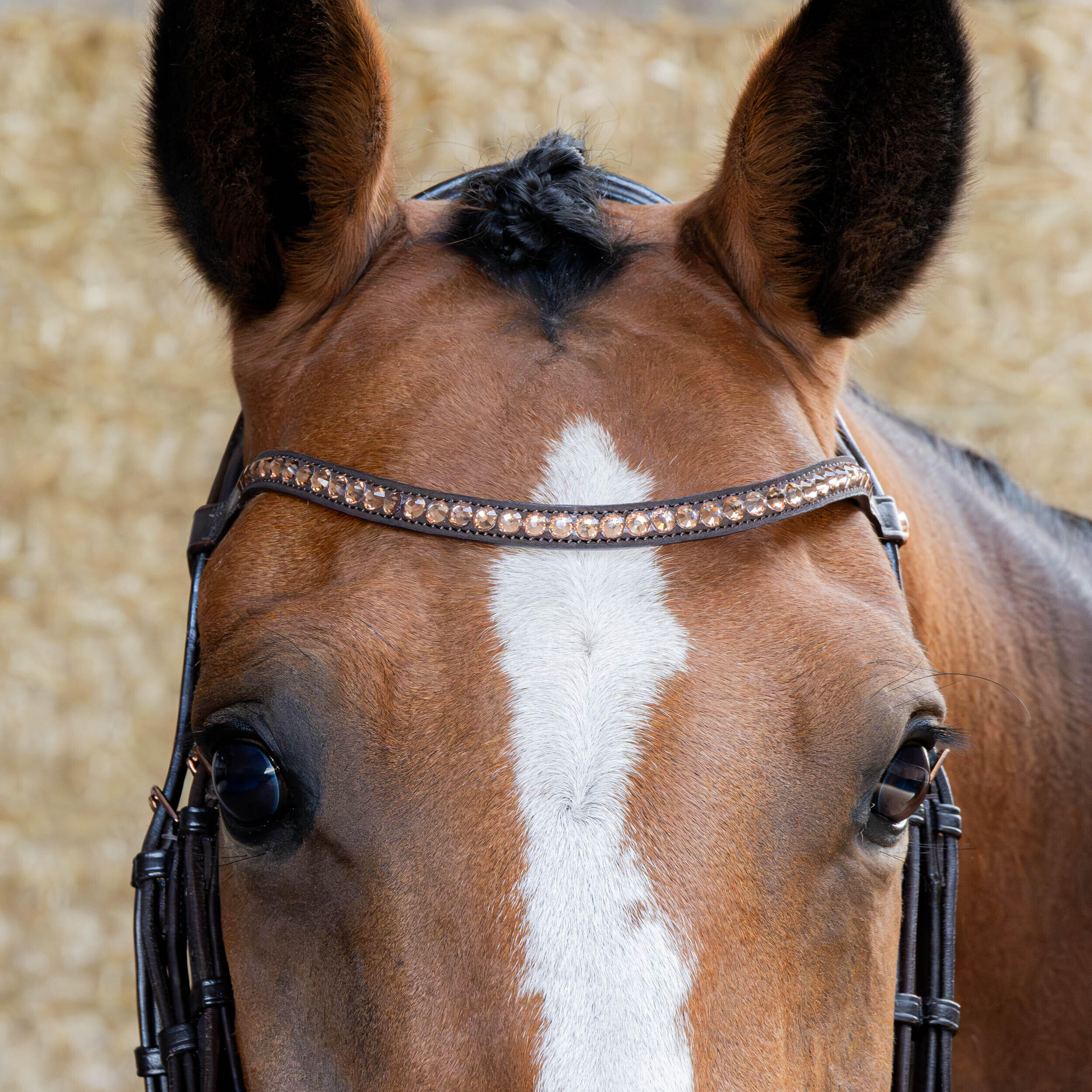 Briglia combinata da equitazione con nasello Harry's Horse Copper 2/4
