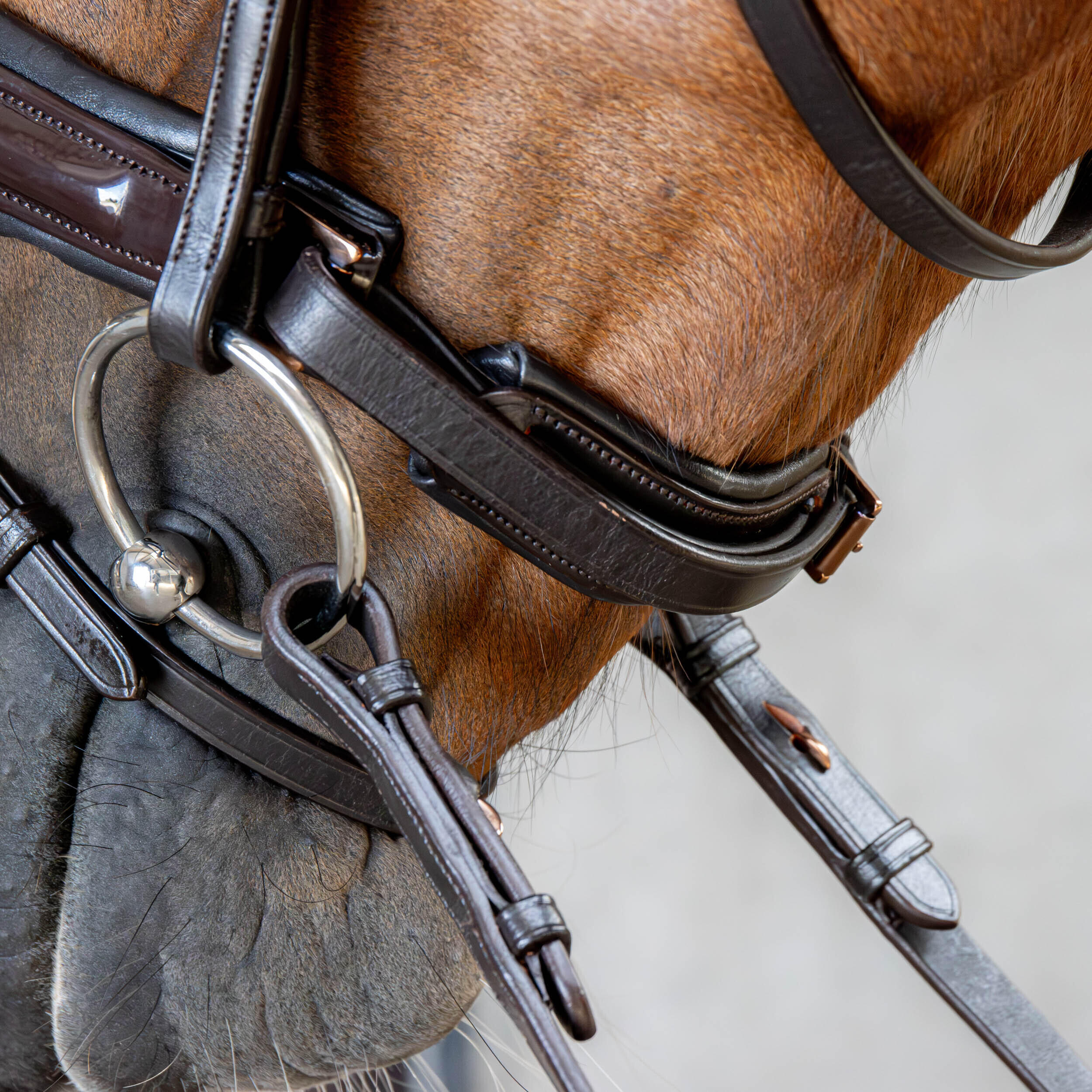 Briglia combinata da equitazione con nasello Harry's Horse Copper 4/4