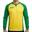 Bărbați Fotbal Tricou Antrenament Maneci Lungi Gălbenuș Verde Amsterdam