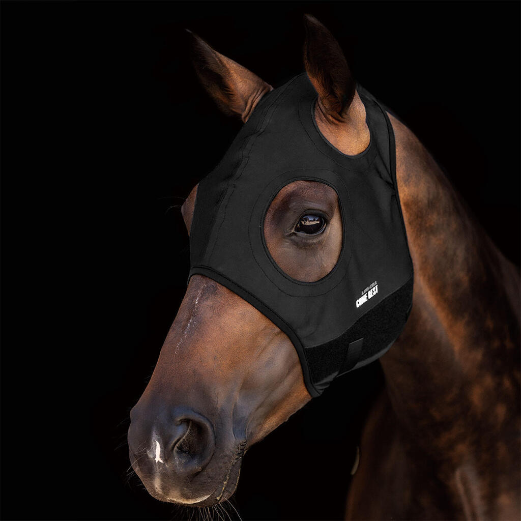 Titanium mask fits best without ears