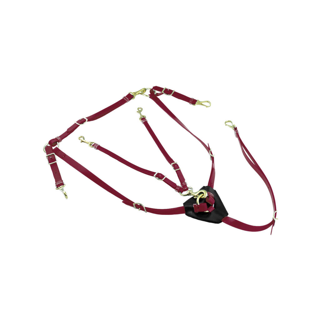 Biothane breastplate with martingale