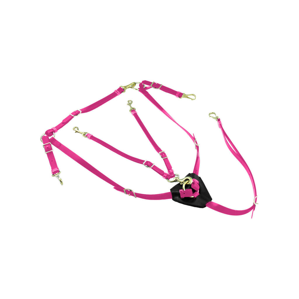 Biothane breastplate with martingale