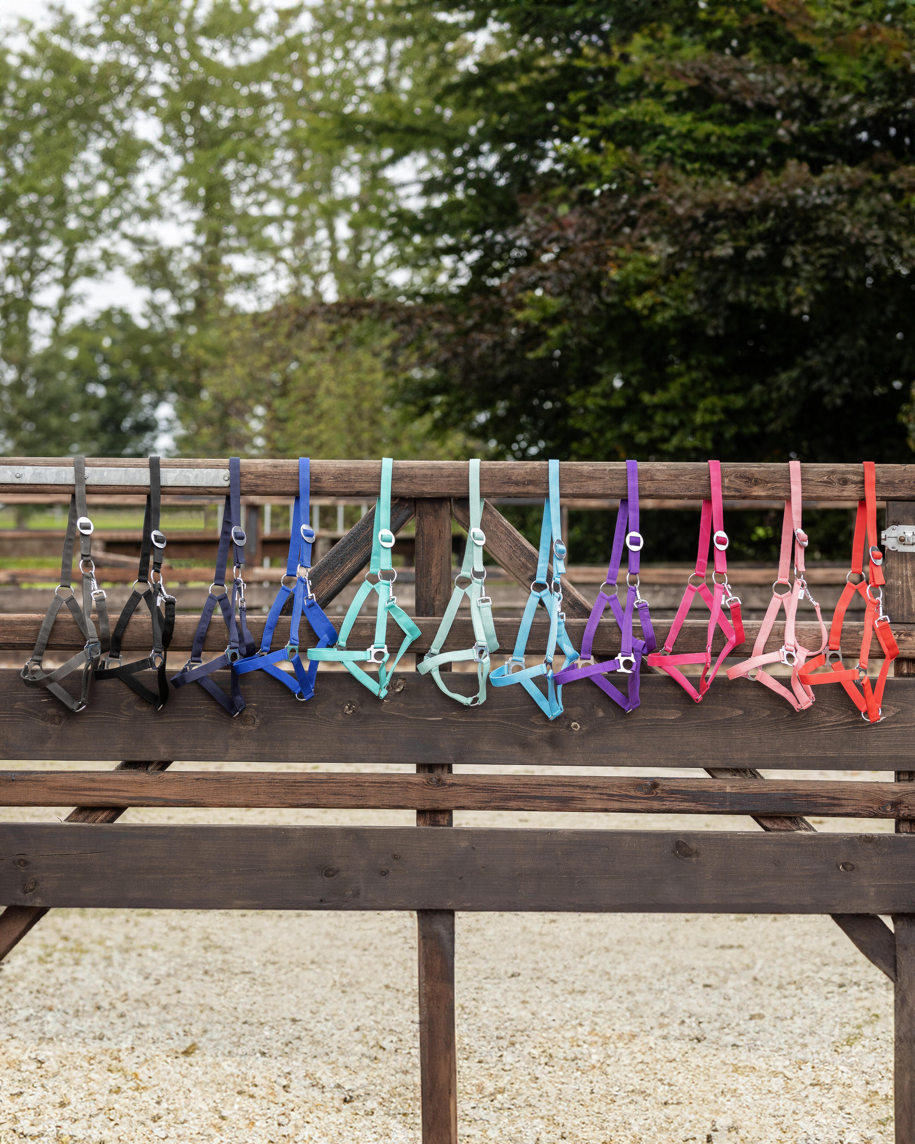 Licol pour cheval avec glissière Q-essentials 4/5