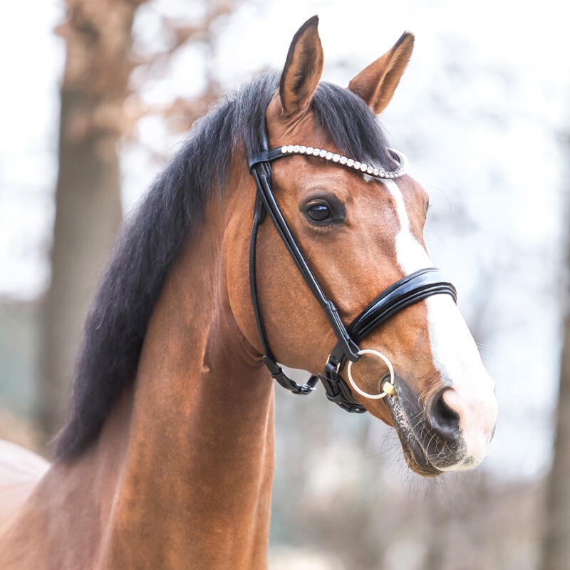Bridas de equitación anatómicas para caballo Kavalkade Florina 4/6