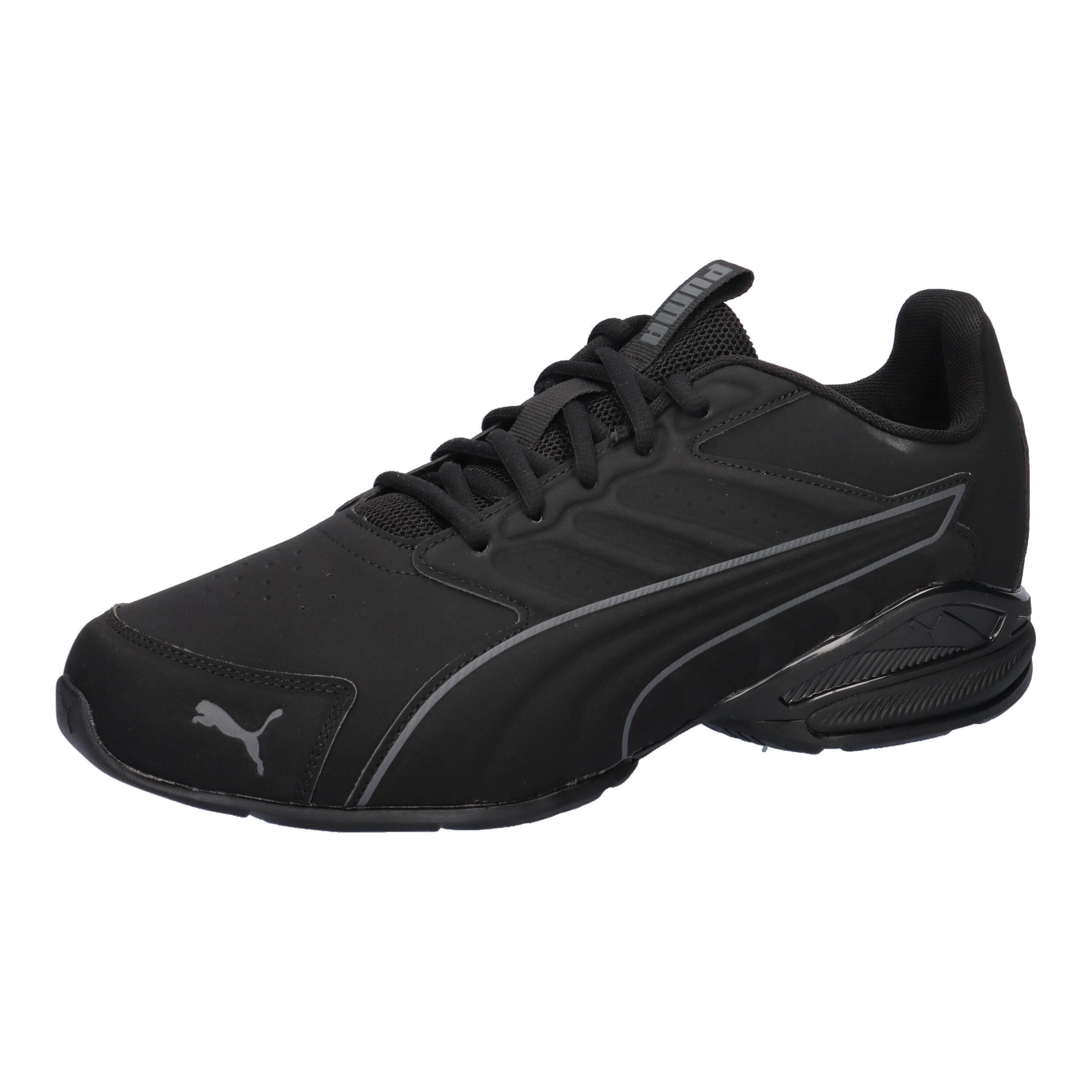PUMA picture