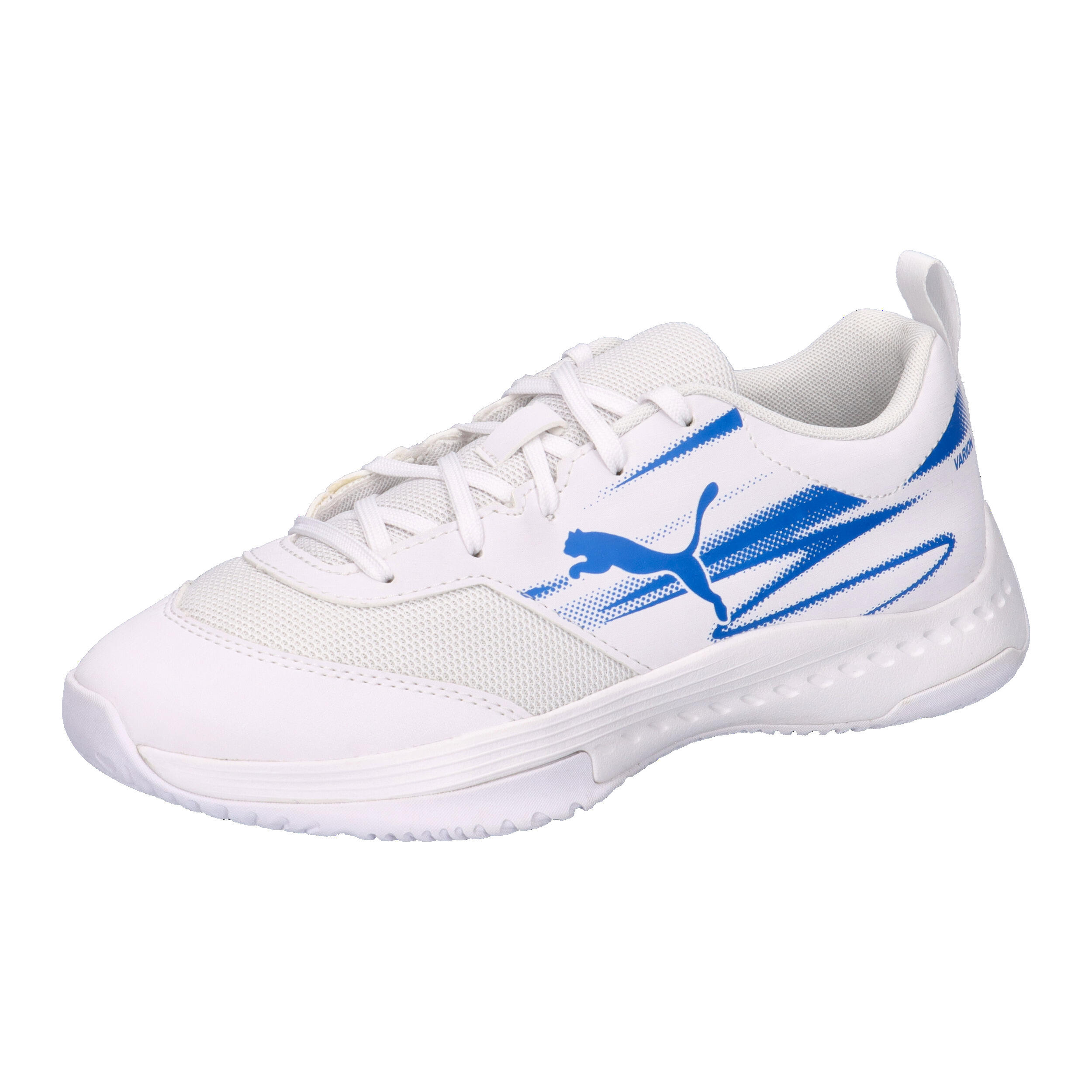PUMA picture
